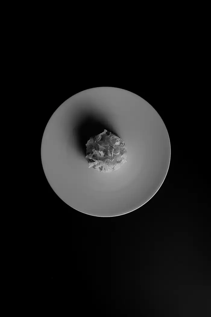Minimal plated dish