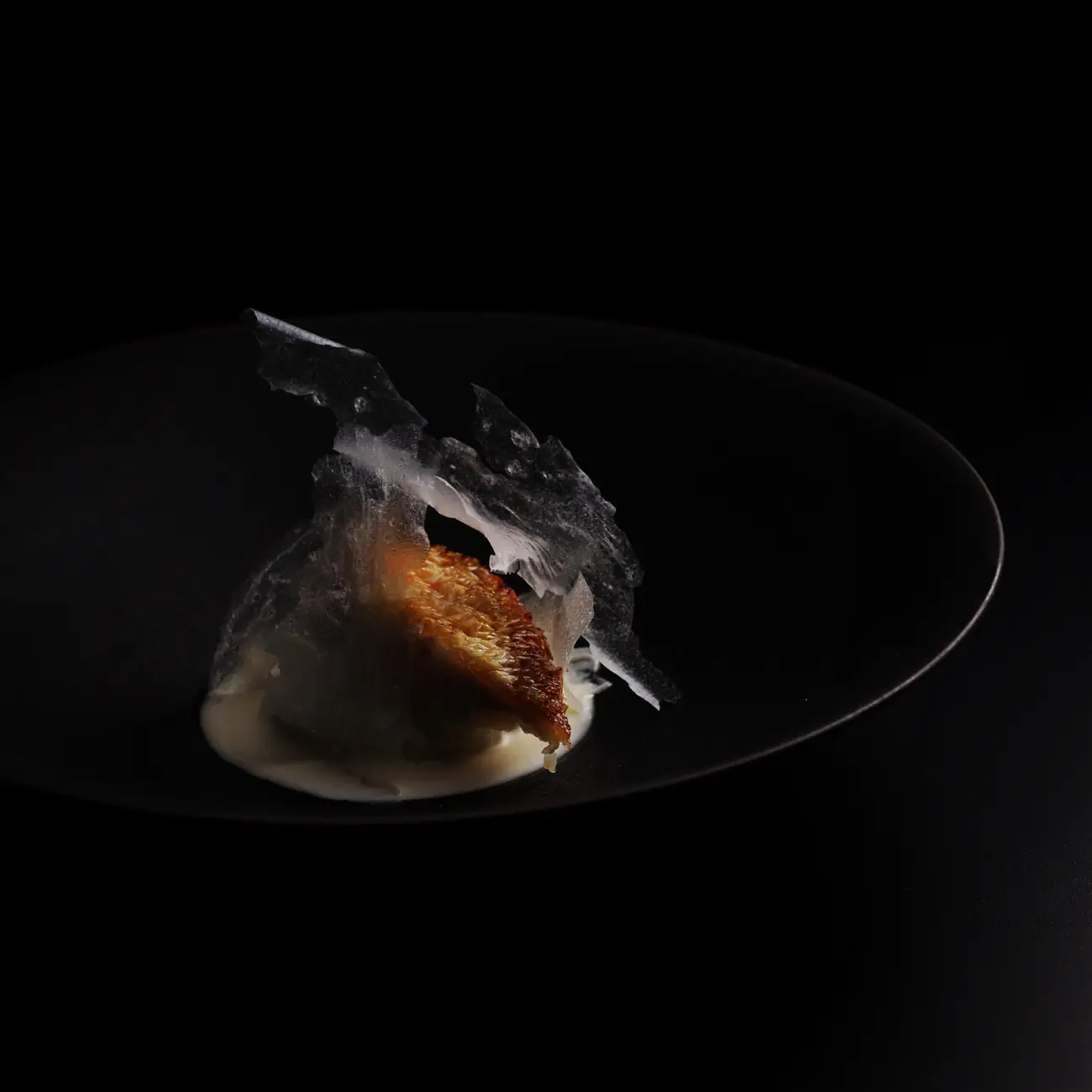 Modern fine dining fish dish